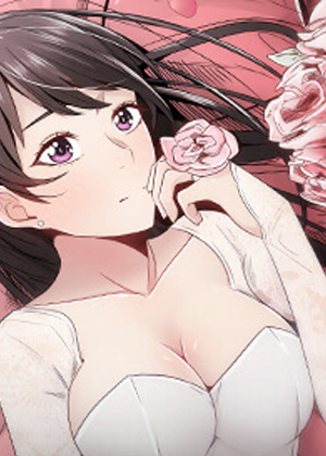 完结漫画：钢之炼金术师